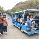 씨유 난지천점 | 상암 하늘공원 억새축제 상세후기~~ (가는법,행사일정,매점)