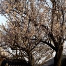 산천재(문화재) 이미지