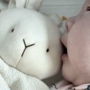 행신현대의원 | 2025.08.01 - 2025.08.31