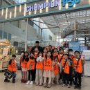 참피온키즈태권도 이미지