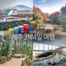 제주하뭄 이미지