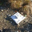 영양택시(명) 이미지