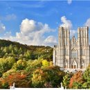 경희사이버대학교 문화창조대학원 이미지