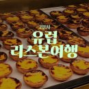 신남약국 | 유럽 신혼여행 2일차 리스본 (약국, 마트, 카스트로, 카사 포르투게사 두 파스텔 드 바칼라우...
