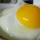 써니사이드업 이미지