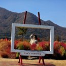 황산공원 이미지