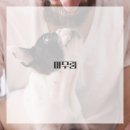 더타이체형관리 - 예산군 역전로 149 | 더타이체형관리