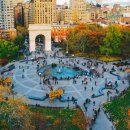The Village Stompers - Washington Square 이미지
