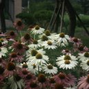 화당2리 이미지