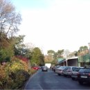 아보카(AVOCA) 이미지