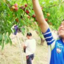 상남농장 이미지