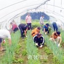 청주서부소방서(오송119안전센터) 이미지