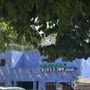 도그베이 이미지