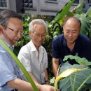 부평5동 주민센터 이미지