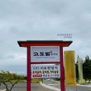 고도벌한정식 | 경주 보문단지 맛집 고도벌한정식 보문동 맛집 인정