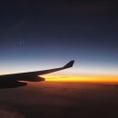 펀포레스트 이미지