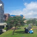 충남예술고등학교 이미지