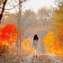 뷰앤힐 | 서울 근교 당일 노지 캠핑 3만원 양평 리버앤힐 후기