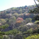 내서읍724 이미지