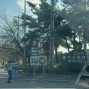 팜푸드코트(농협경제지주(주)안성팜랜드) | 여행] 가을 핑크뮬리, 코스모스의 성지! 안성 팜랜드 주말 방문 후기 및 관람 팁(100% 개화, 절정 사진)