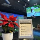 화이트스크린골프연습장 이미지