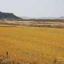 부여송죽마을 이미지