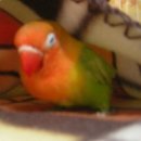 (주)애사랑 이미지