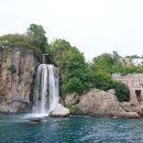 토러스농장 이미지