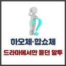 그리하오 | 하오체·합쇼체 – 드라마에서만 듣던 말투 차이