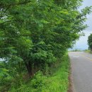 노성면사무소 이미지