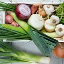 서동물병원 이미지