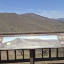 곰배령 | 강원도 당일여행 가볼만한곳 천상의 화원 점봉산 곰배령에서 야생화꽃 보고 온 후기입니다^^