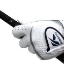 (주)카스코 이미지