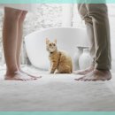 계양 동물 메디컬 센터 이미지