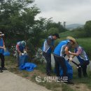마장 매화둘레길 이미지