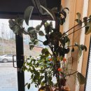 달그릇공방옥계점 이미지