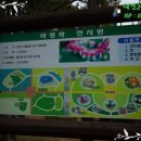 마로니에화원 이미지