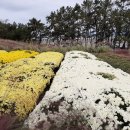 함평예촌 이미지