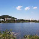 서호공원 이미지