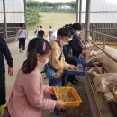 어울림목장 이미지