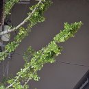 광안1-303 이미지