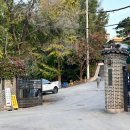 대왕축사 | 세종대왕기념관 웨딩홀 전통혼례 하객후기