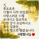 부산보링 이미지