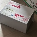 경북과일 | 아침엔과일 경북 못난이 사과 쿠팡 후기