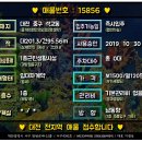 대전석교초교 이미지