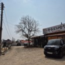 왕송황토보리밥 이미지