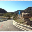 천도리양지마을 네이버블로그