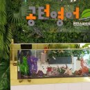 가람스마트학원 이미지