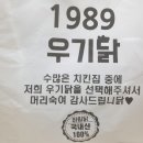 1989우기닭 이미지