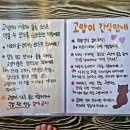 호수로 간 고양이 네이버블로그